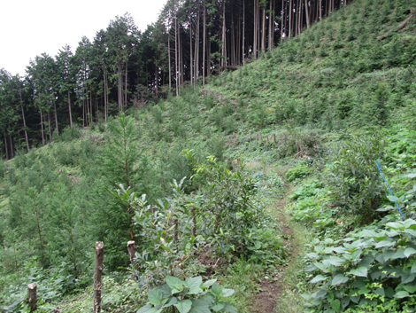20161014hike (229)